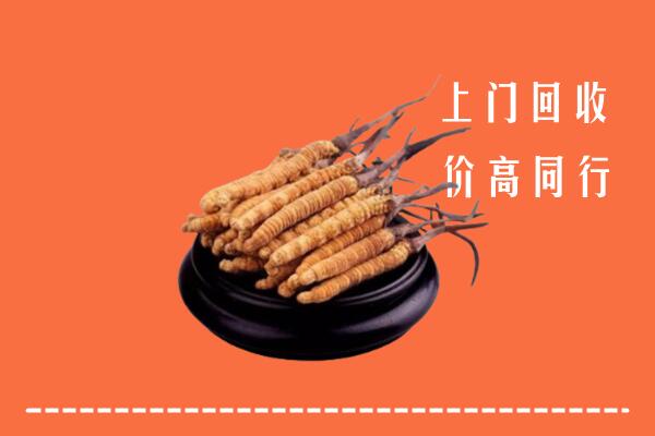 收购行情：鲤城区回收散虫草